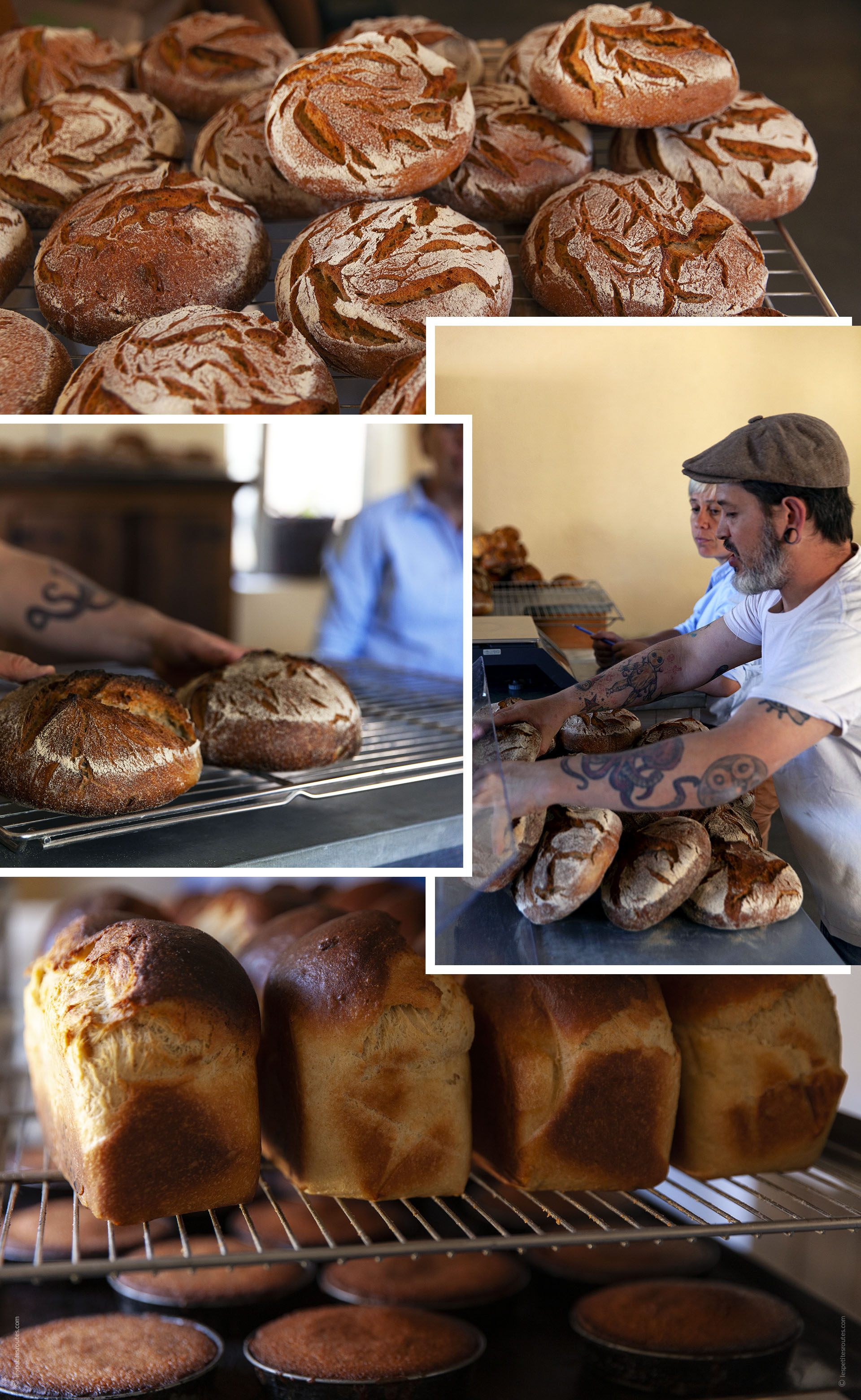 Les Petites Routes dans la boulangerie Le Goût du Pain à Aigremont.